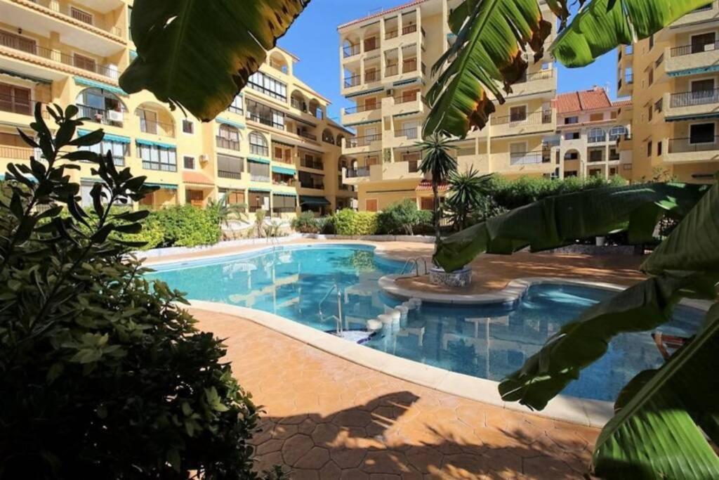 Apartament Studio, La Mata , Torrevieja, Vinamar 3 Extérieur photo